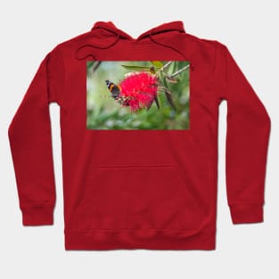 Red Admiral On A Red Bottlebrush Bloom Hoodie